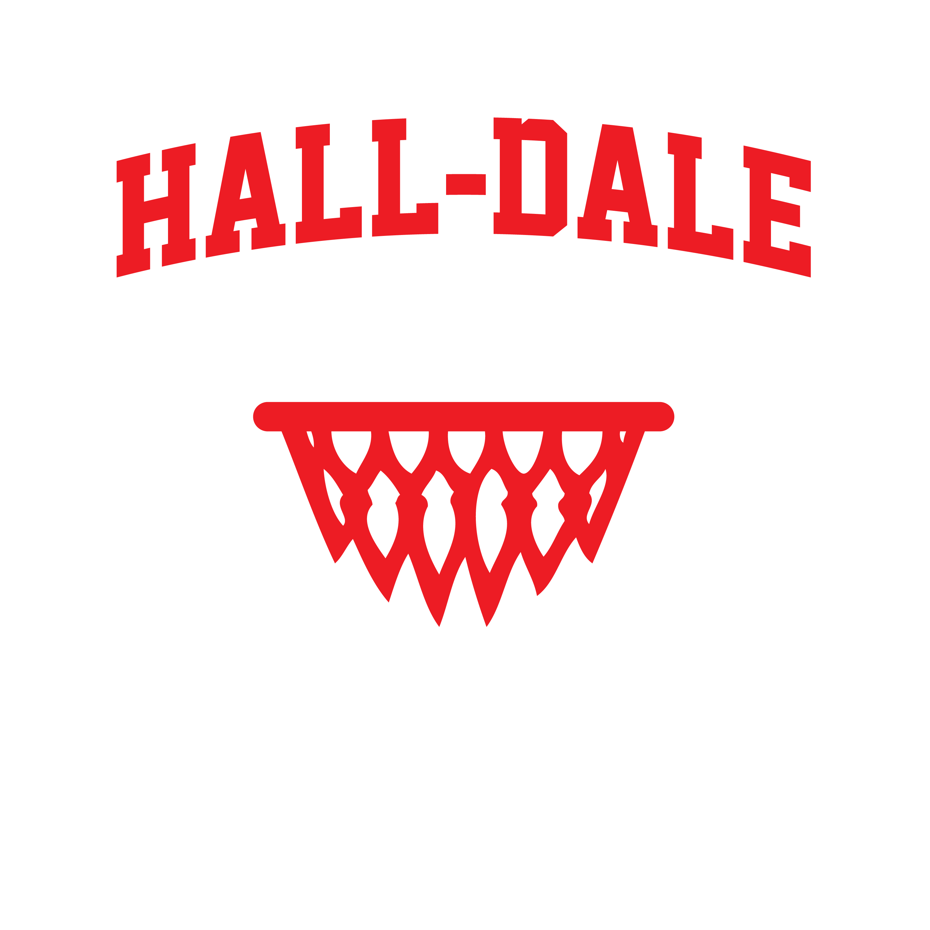 HD Girls Basketball 01